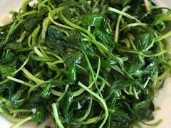 清炒马兰头-老马家·舌尖上的西塘美食