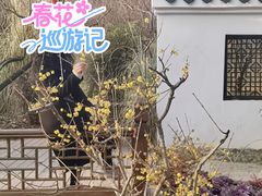 -无锡梅园公园