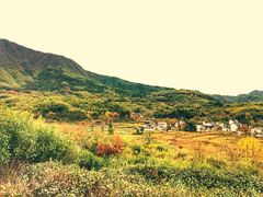 -塔川景区
