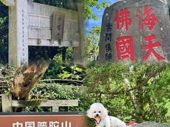 -普陀山风景区-佛顶山