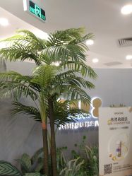 -八佰伴8008星级形象店