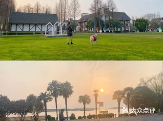 可以带宠物狗去度假的好去处——上海太阳岛