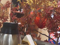 -东岸料理·寿司·刺身