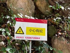 -长谷洞天