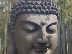 -杭州植物园