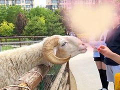 -太原动物园