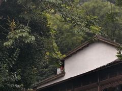 -十八棵（老龙井）御茶园(老龙井店)