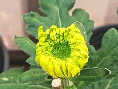 -共青国家森林公园-售票处