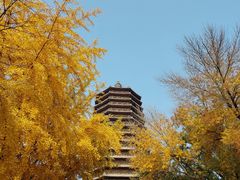-玲珑塔公园