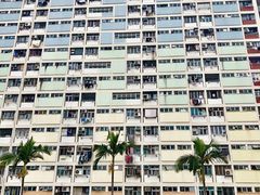 -彩虹村