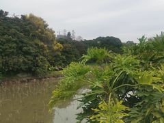 -海珠湖公园