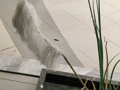 -老头儿油爆虾(星光一期店)