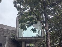 -海珠湖公园