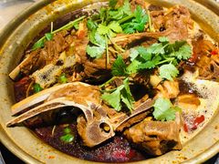 精品羊蝎子-友乐居羊蝎子(西直门店)