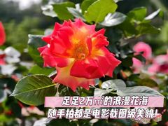 -南宁南湖公园