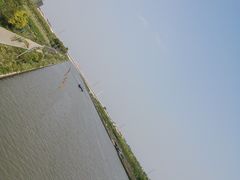 -南汇新场正宗水蜜桃采摘