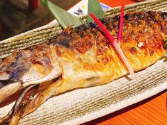 烤青花鱼-有喜屋·烧鸟·居酒屋(三钢里店)