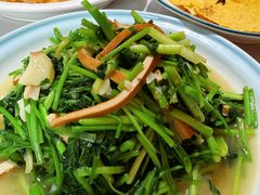 -全乐鱼馆·淳牌有机鱼直营店