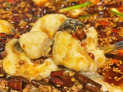 -胖子鱼·天水麻辣鱼火锅(秦州407店)