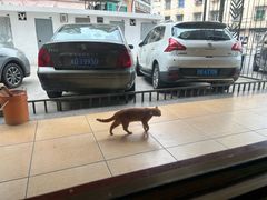 -乌糖沙茶面(民族路店)