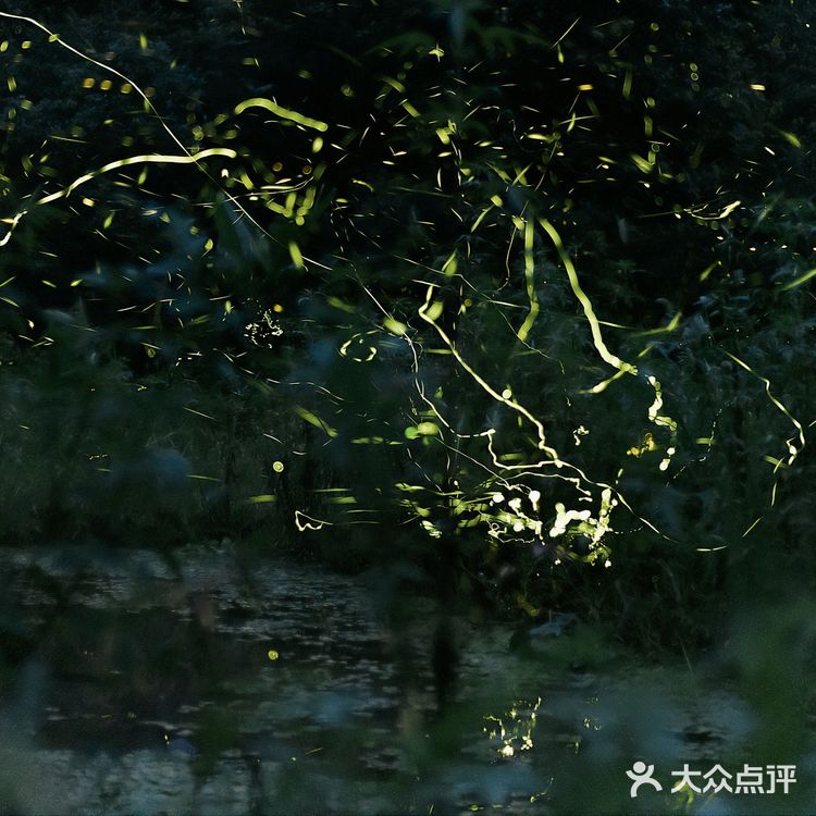 江浙沪周边游 | 去千岛湖过个完美夏天,两天一夜攻略