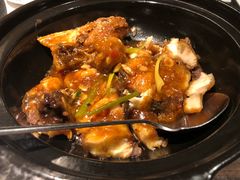 红焖皖鱼-五稻厨房粤西菜(新闻店)