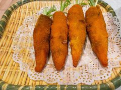 -丁老爷子苏香圆