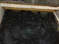 -旭龙鱼头王(航华店)