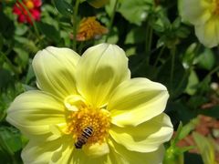 -名花谷生态庄园