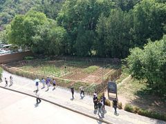 -延安杨家岭革命旧址