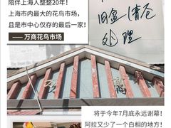 -万商花鸟市场
