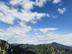 -大岭沟猕猴桃谷风景区