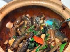 -新兴·金羊座·粤菜点心(乐峰店)