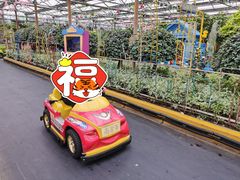 -南宫五洲植物乐园