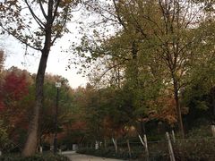 -杭州黄龙洞