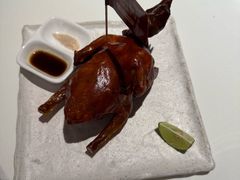 -侨美·唐荔园·40年地道粤菜