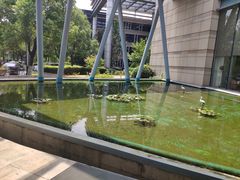 -南京国睿金陵大酒店