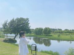 -蒲河岛湿地公园