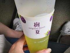 -树夏(锦里店)