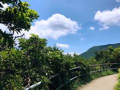 -南丫岛