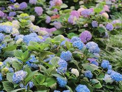 -常州古运河南大街文化旅游区-人民公园