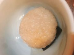 茨毛圆子-双塔老饭店