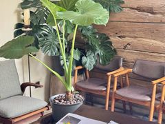 -朴墅(西湖青芝坞店·杭帮菜·家宴.14年的店)