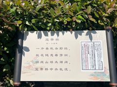 -澹台湖公园