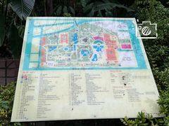-九龙公园
