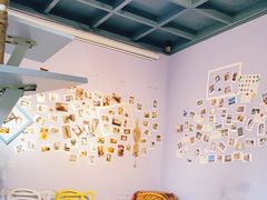 -喵屿·大理花园猫咖