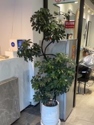 -LJOY丽锦造型·烫发染发