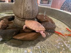 -小鹅皇港式餐厅(新抚万达店)