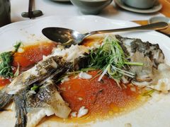 -美食小镇·观赏珍稀鸟类·长隆熊猫酒店