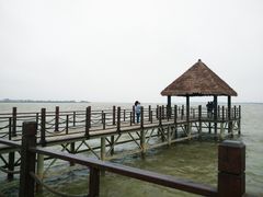 -瑶湖郊野森林公园